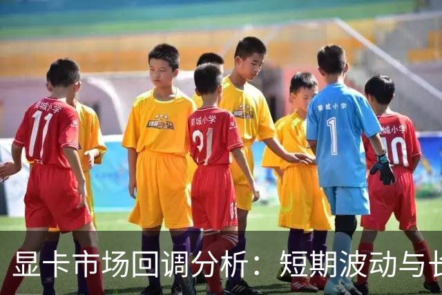 显卡市场回调分析：短期波动与长期趋势的对比